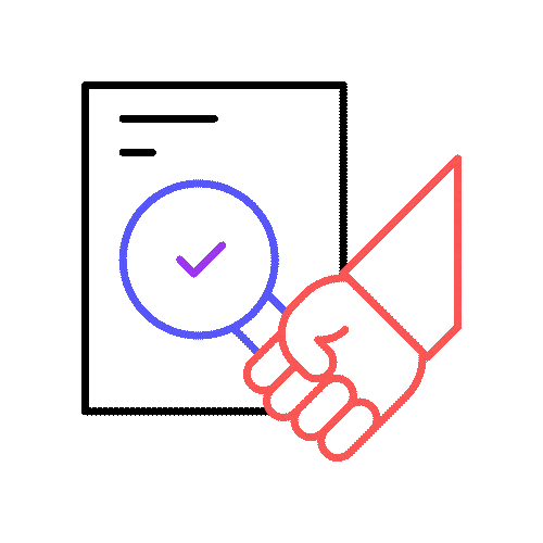 Inspection Icon